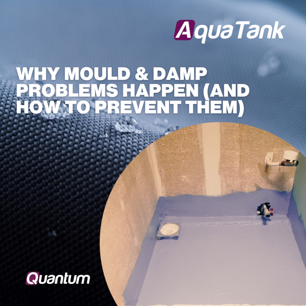 Why Mould & Damp Problems Happen (And How to Prevent Them)